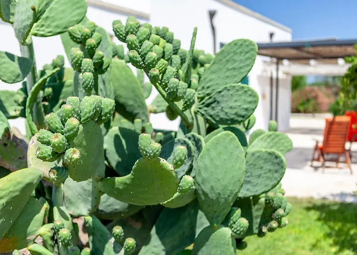 Agriturismo Le Terre Farm stay