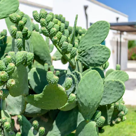 Agriturismo Le Terre Farm stay